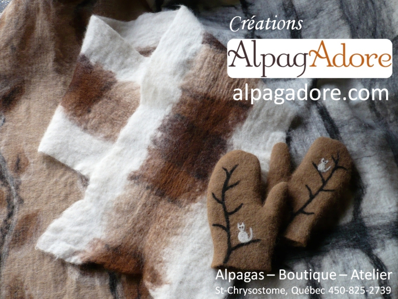 AlpacAdore - Foulard et mitaines feutrés en alpaga - Felted alpaca scarf and mittens
